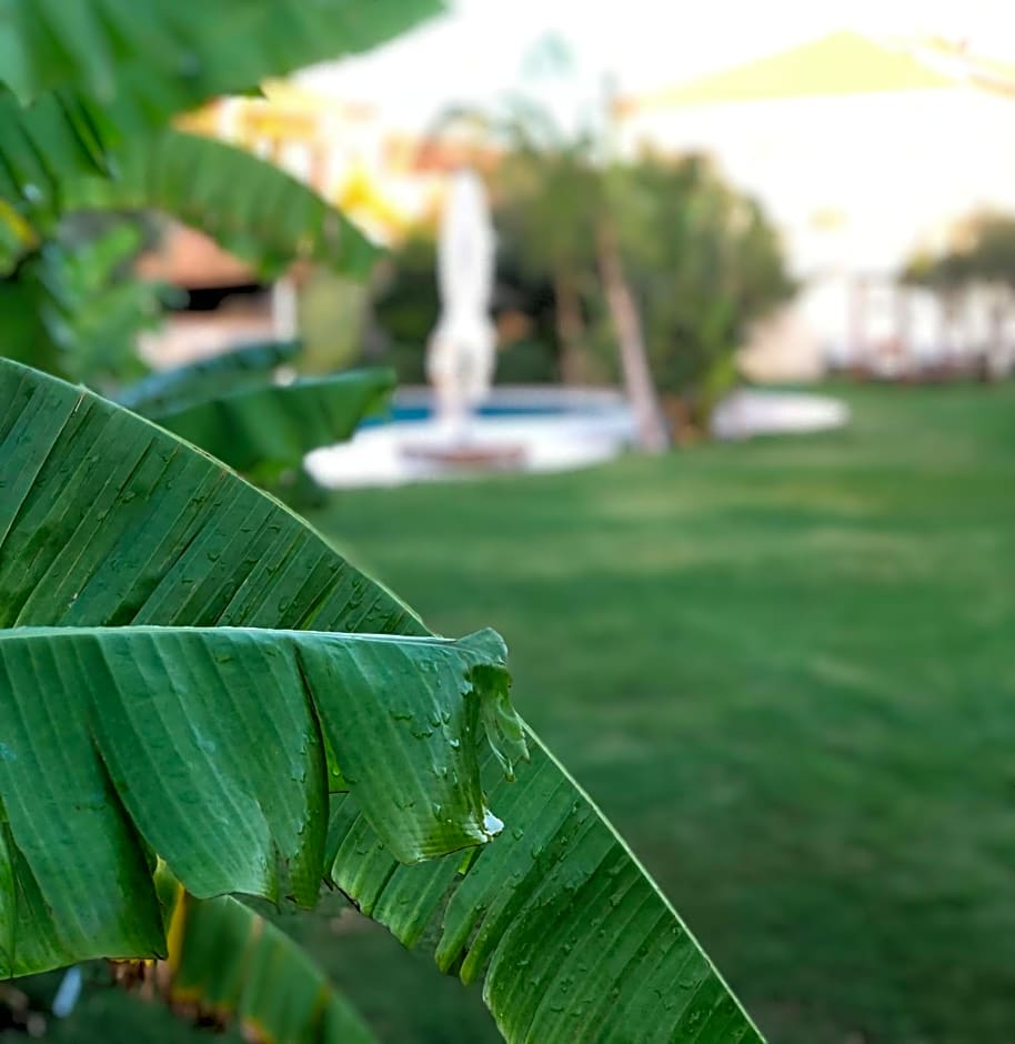 Triangulo Hotel