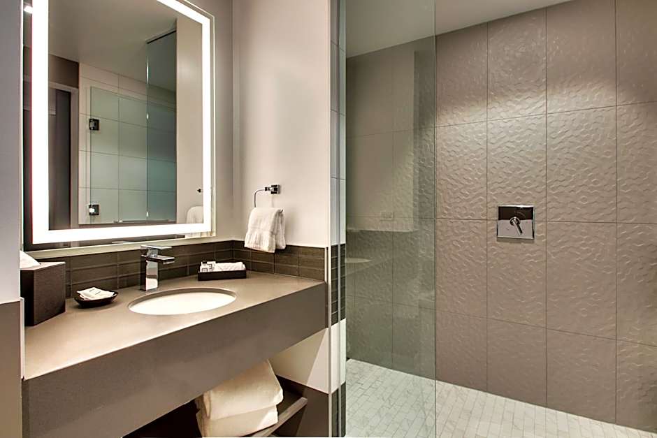 The Rose Hotel Chicago O'Hare, Tapestry Collection by Hilton