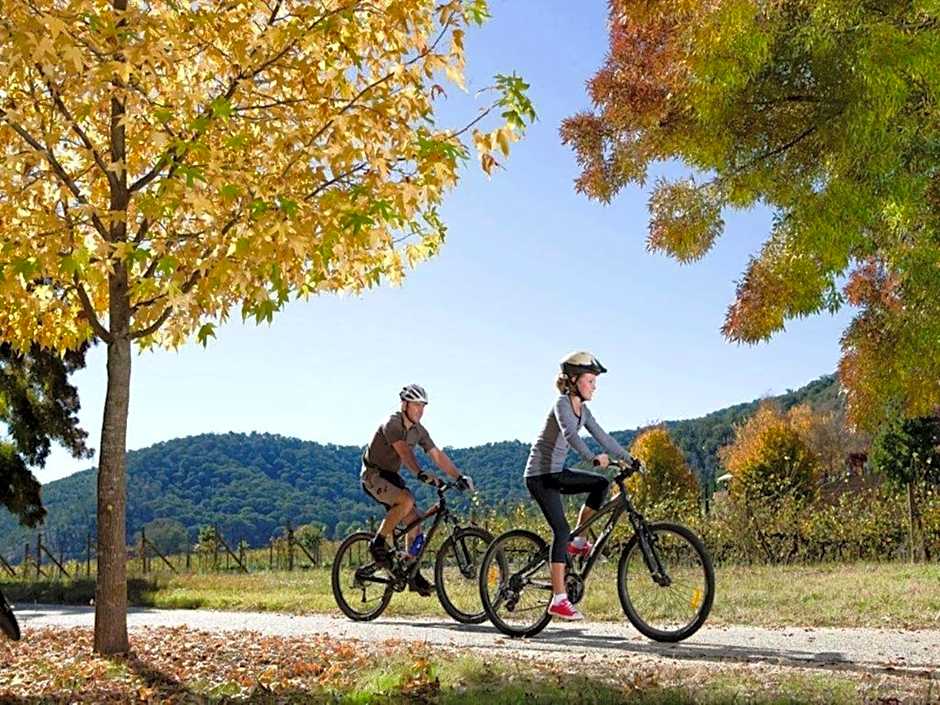 Discovery Parks - Bright