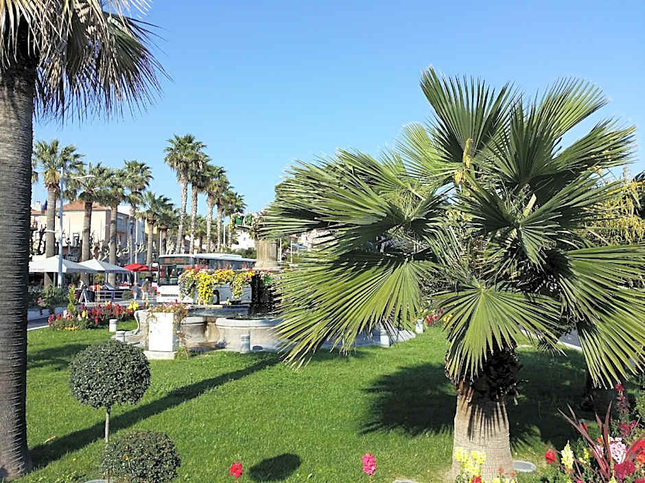 la cigale sous l'olivier