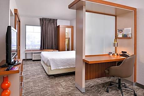 Studio, 1 King Bed with Sofa bed (Hearing Accessible) (1 King Bed and 1 Double Sofa Bed)