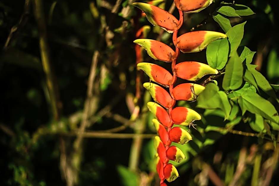 Hosteria Chata Adults Only