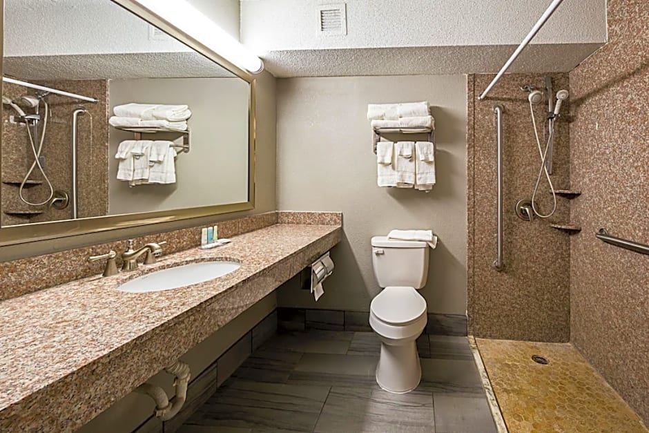 Clarion Inn & Suites Near Downtown