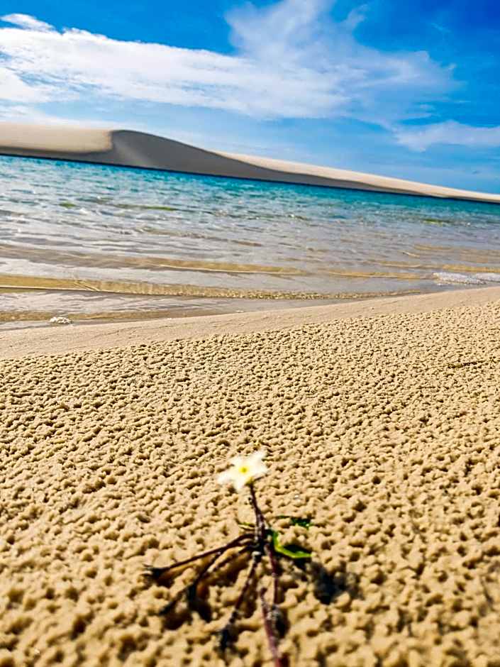 Dunas Residence - Casa 10