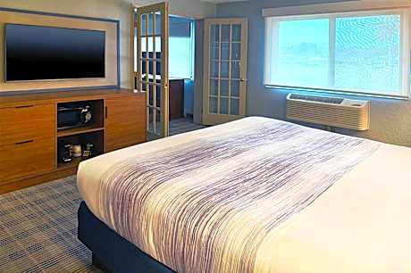 Premier One-Bedroom King Suite - Non-Smoking