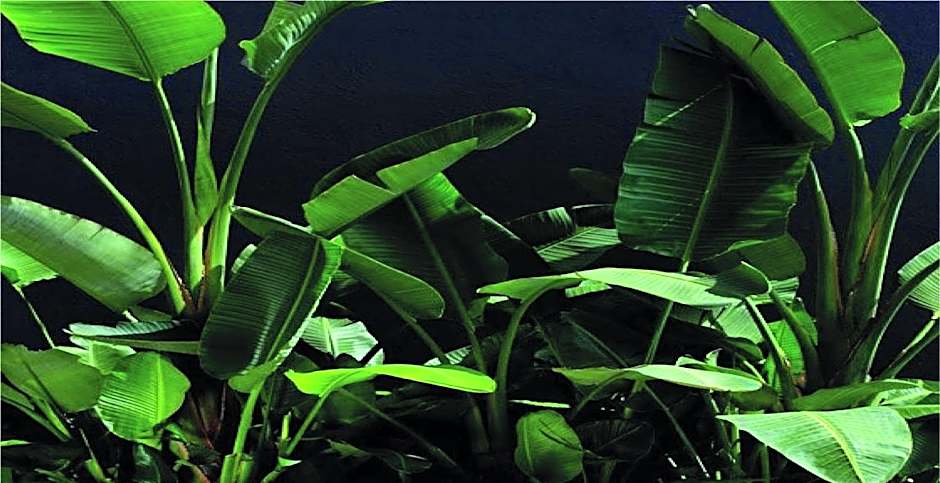 Lisbon Garden Boutique Guest House