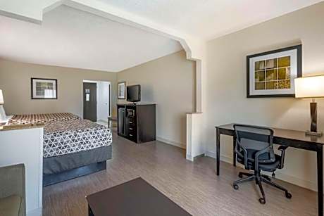 Double Queen Suite with Sofa Bed