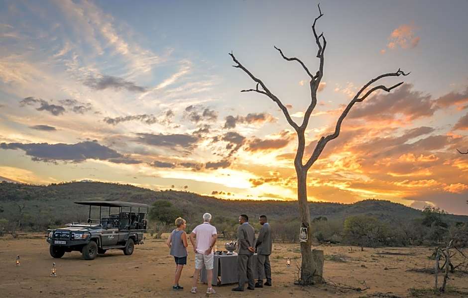 Madikwe Safari Lodge