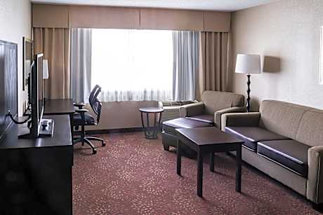 1 King Bed Suite Addl Living Area