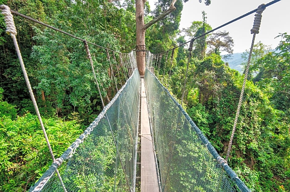Sutera Sanctuary Lodges at Poring Hot Springs
