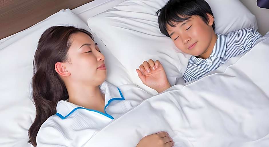 Comfort Inn Ogaki