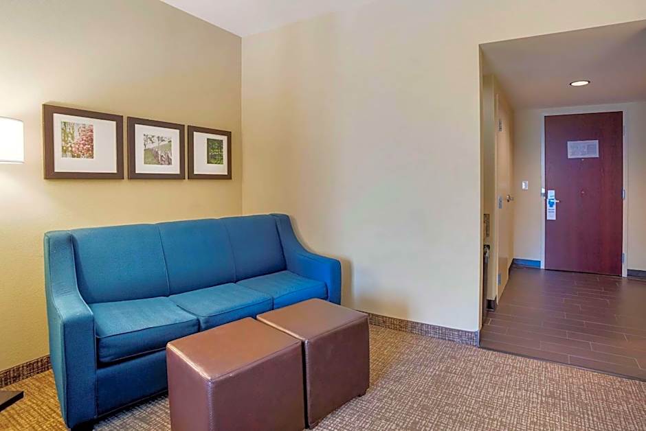 Comfort Suites Fredericksburg North