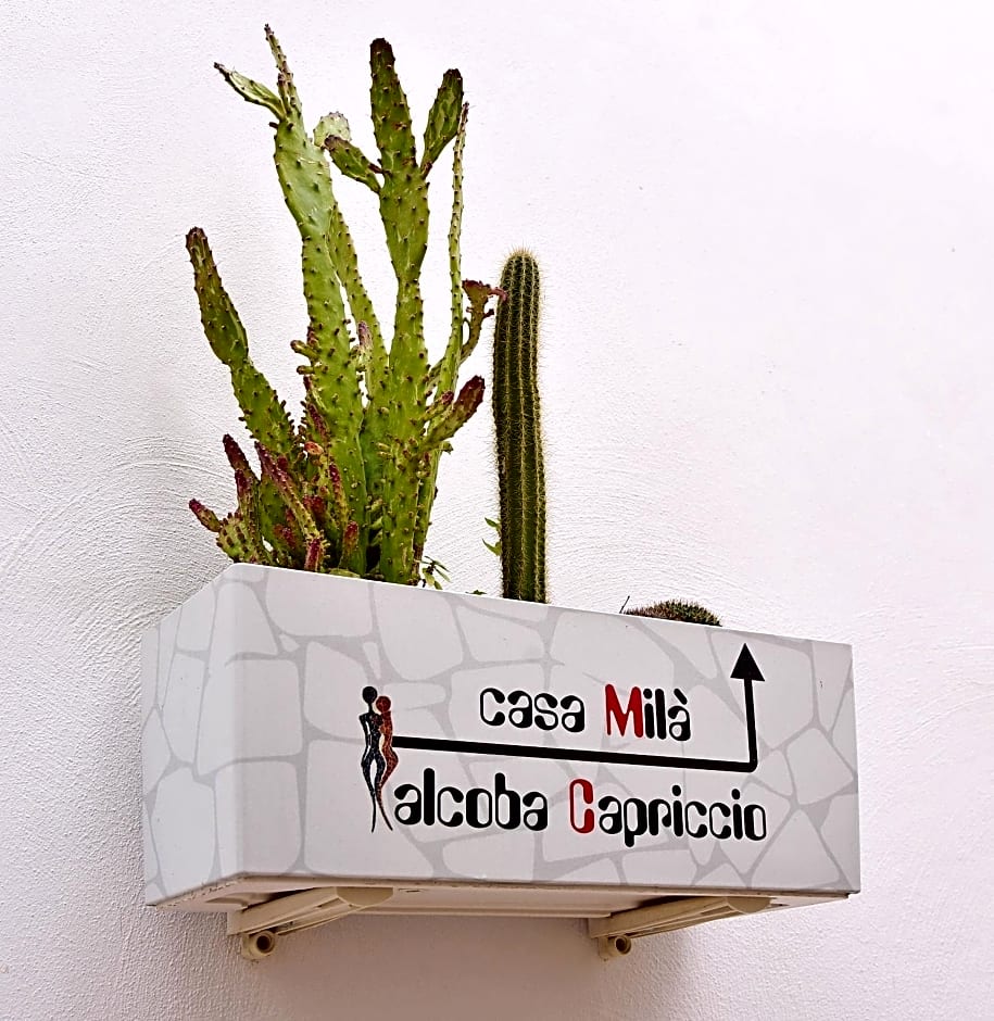 L'Angolo di Gaudì, casa Milà