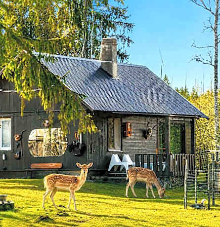Lake Deer Park Retreat with Hot Tub & Sauna