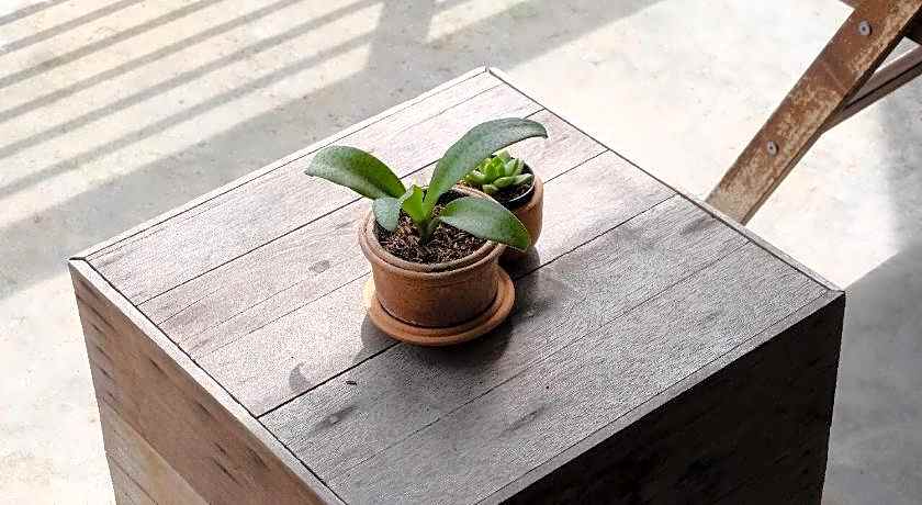 Samatha Bed & Breakfast