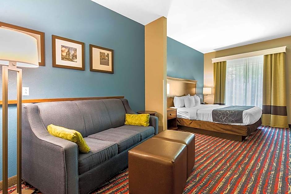 Comfort Suites Fairview Heights - St. Louis
