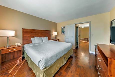One-Bedroom King Suite