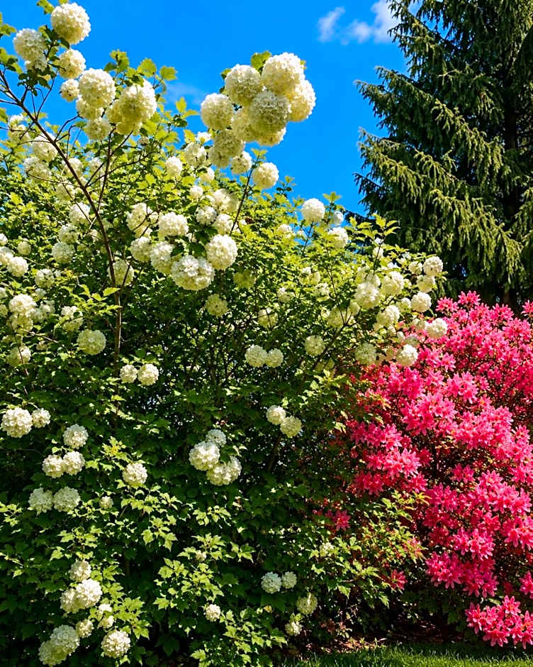 Les jardins de Beaumont
