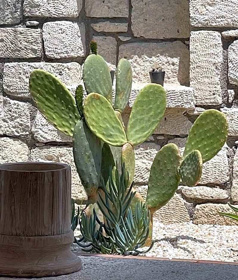 Voger Alaçatı Silence