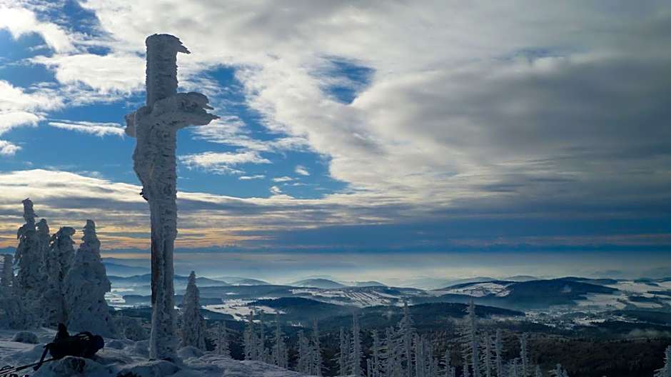 Hotel Waldfrieden "Das kleine Hotel"