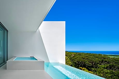 ALMIS NAKIJIN l ex EMIL NAKIJIN