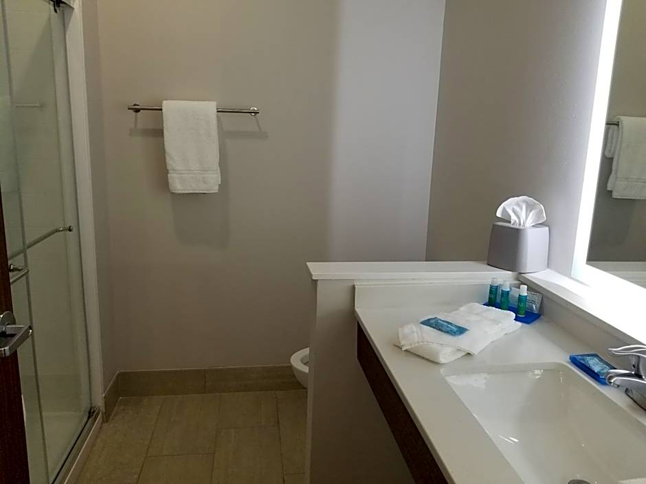Holiday Inn Express & Suites - Fort Mill By IHG