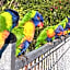 Magnetic Island Bed and Breakfast