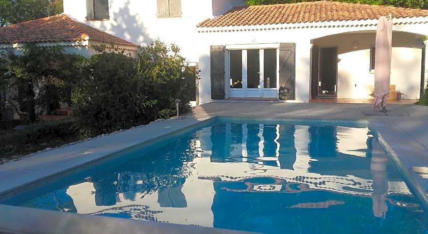 frederique lavande bleue