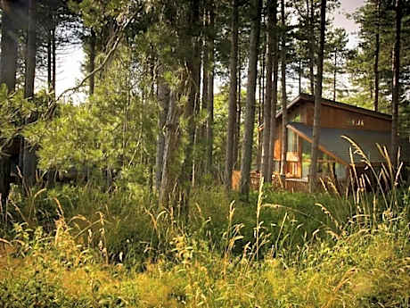 Thorpe Forest Cabins - Forest Holidays