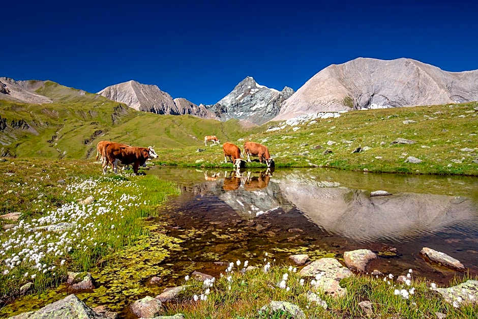 Wanderhotel Taurerwirt