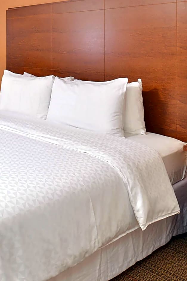 Radisson Hotel Detroit Metro Airport