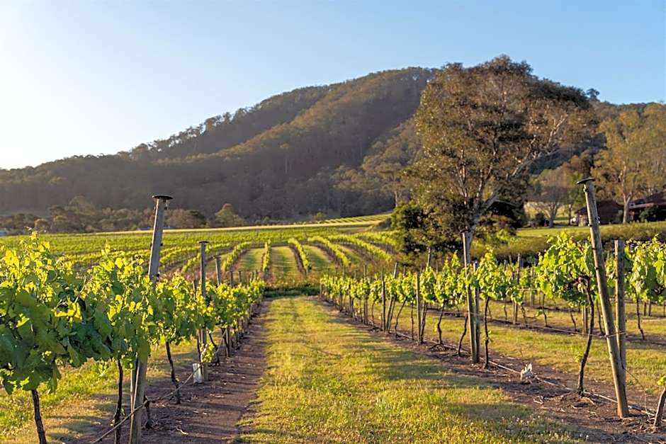 Coolangatta Estate Shoalhaven Heads
