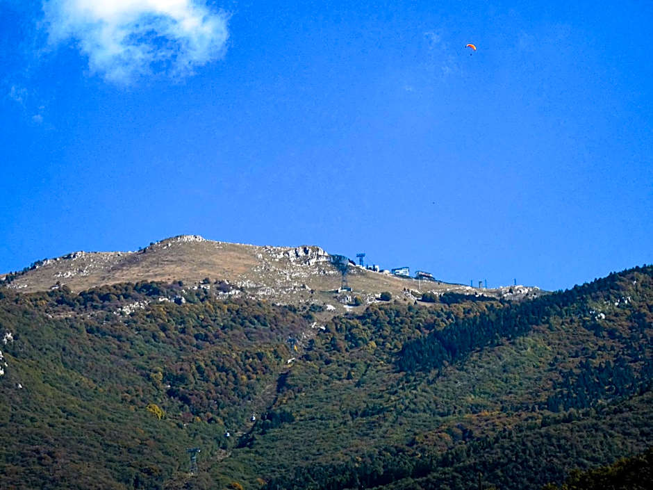 Hotel Alpino