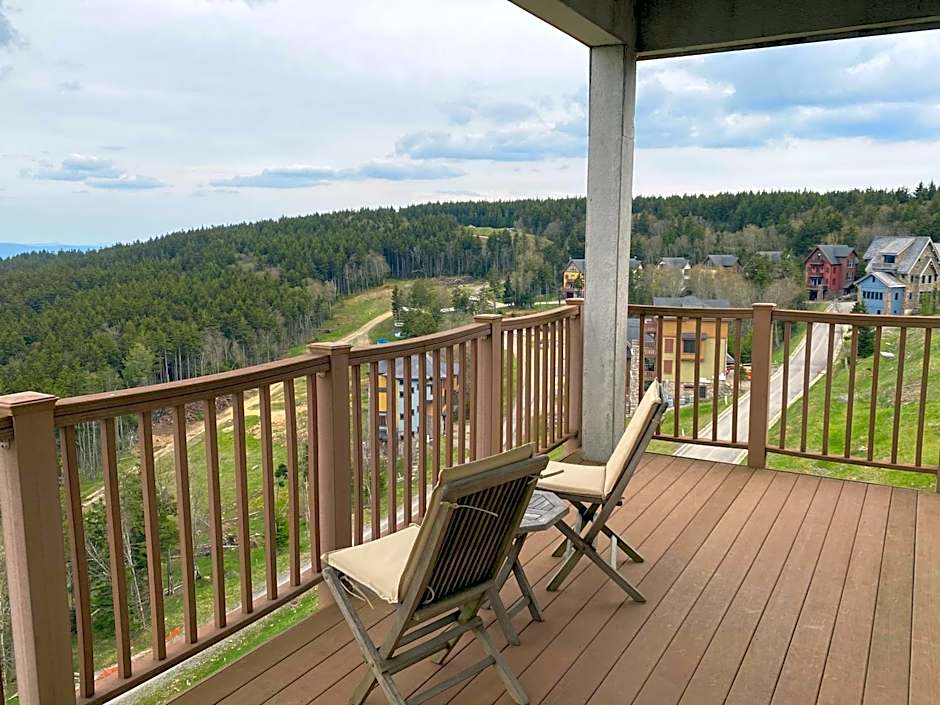 Remodeled Ski In-Out - 305 Soaring Eagle - Luxury!