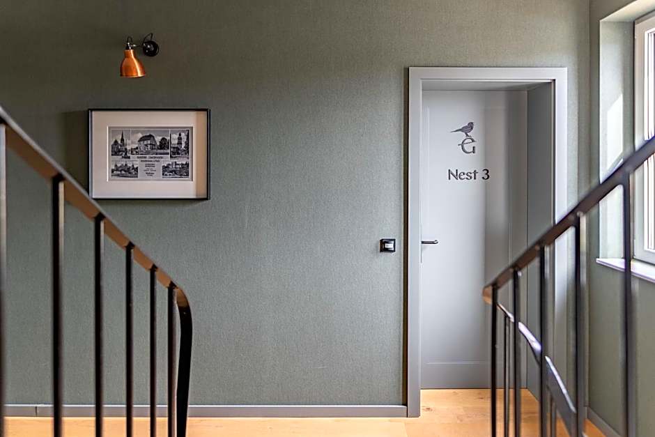 Goldammer Aschaffenburg