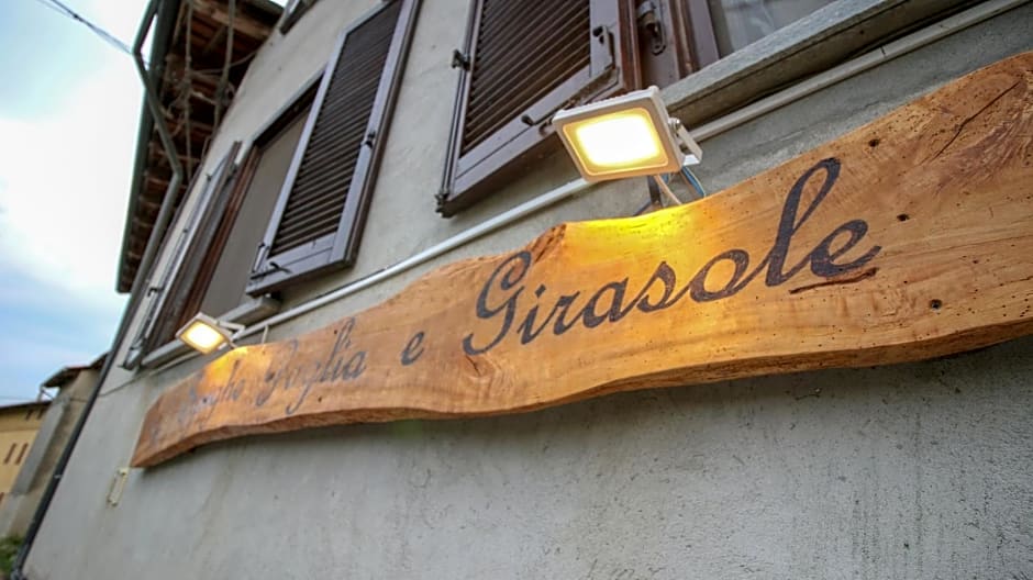 Spighe Paglia e Girasole