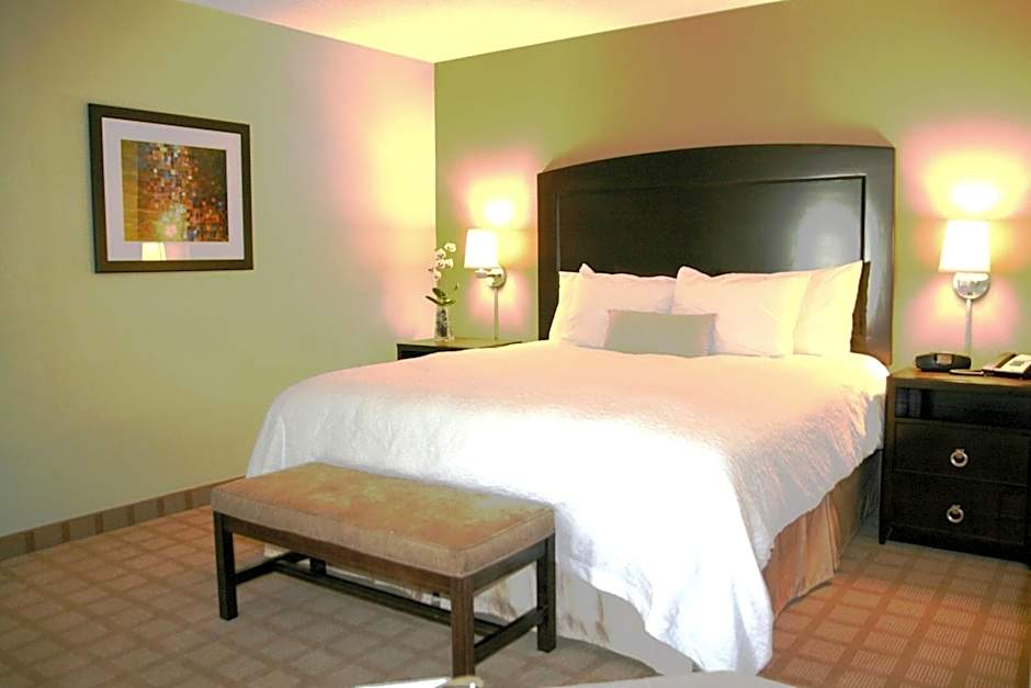 Hampton Inn By Hilton And Suites Detroit/Canton