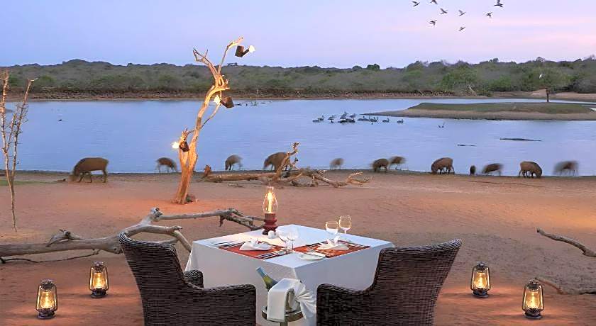 Cinnamon Wild Yala Hotel