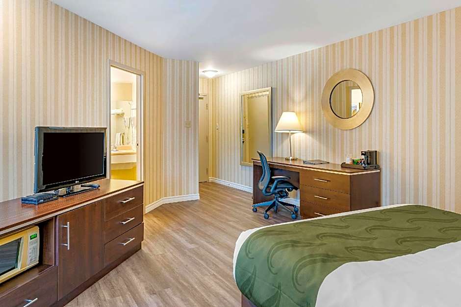Quality Hotel & Suites