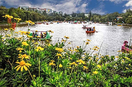 Campo Filipino Dormitelle powered by Cocotel