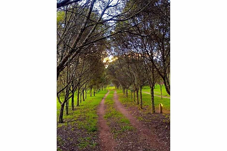 Pousada Chalé Terra Viva