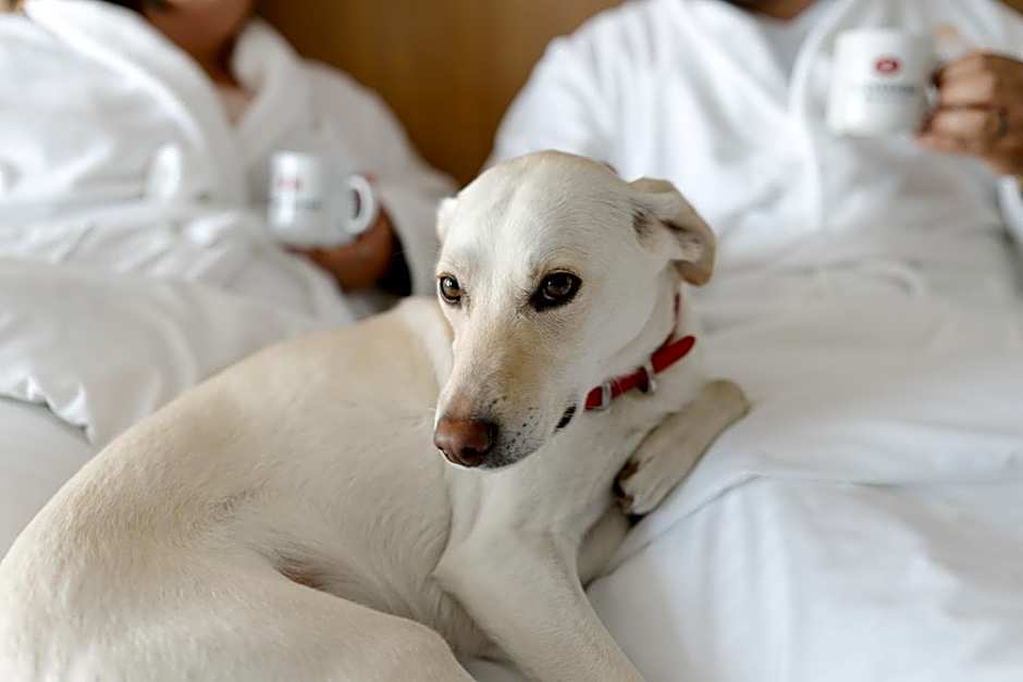 Hôtels Gouverneur Trois-Rivières