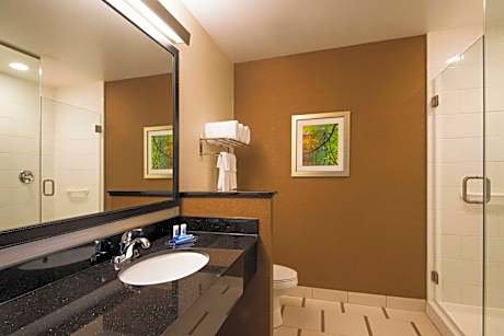 Room, 1 King Bed (Mobility/Hearing Accessible, Tub) (1 King Bed)