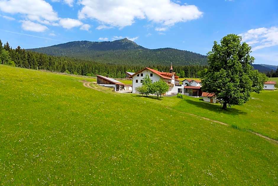 Osserhotel - B&B am Osser