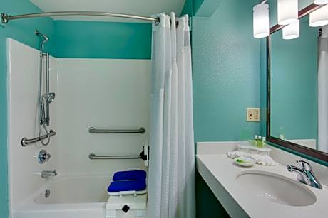 1 King Suite Mobility Accessible Tub