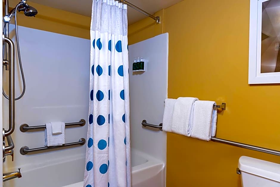 TownePlace Suites by Marriott East Lansing