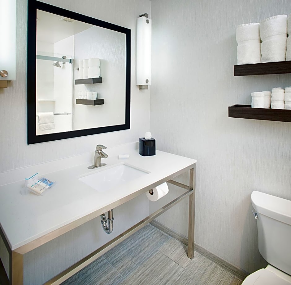 Hilton Garden Inn Dallas/Arlington South
