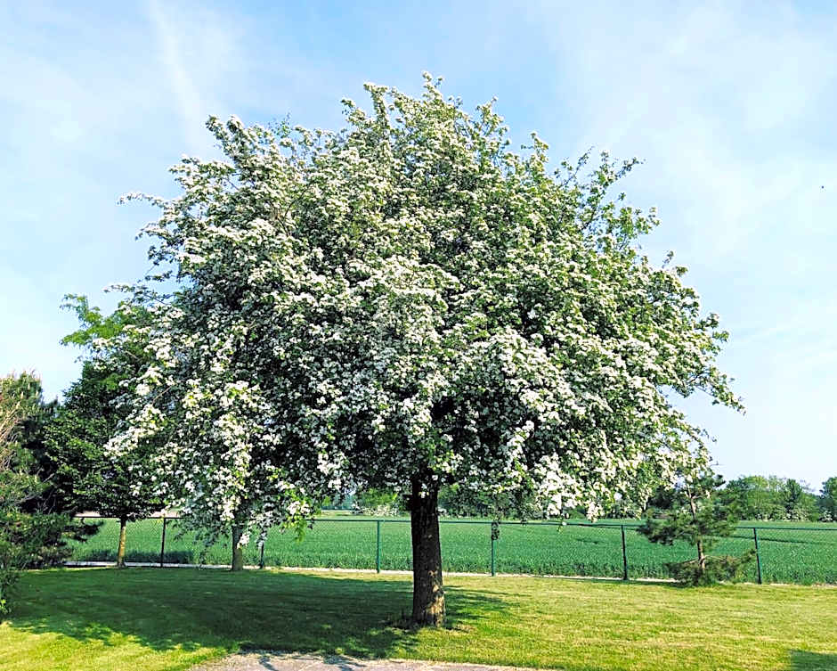 Slapen bij de Zeeuwse Lala