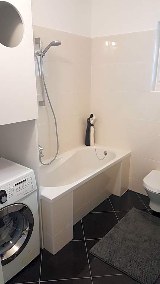 Apartments Dvor - ap4, ap5, ap6