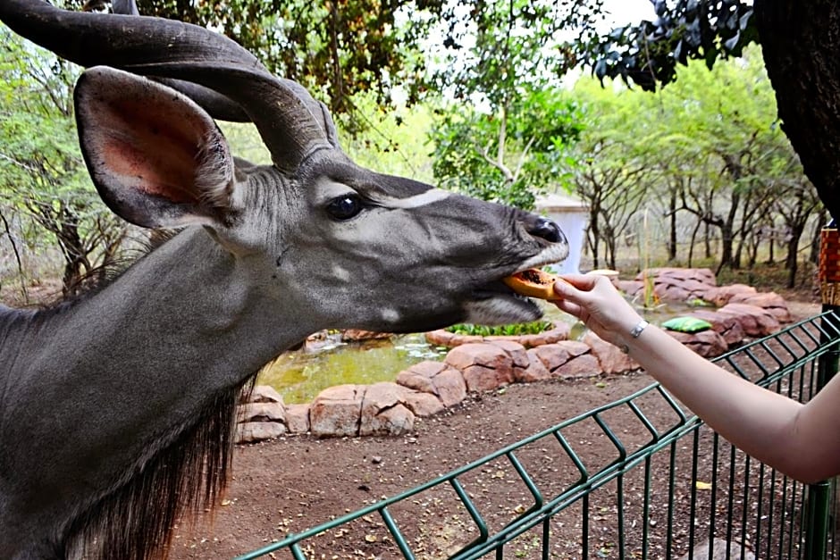 Wielewaal Bush Lodge